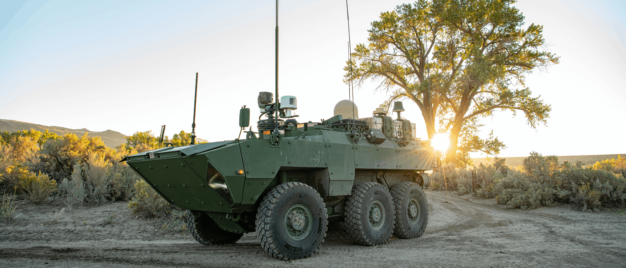 ARV PPD Marquee