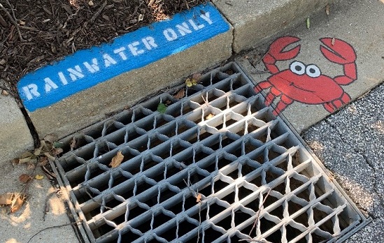 crab painting by storm drain