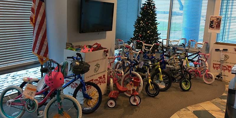 Toys for Tots Collection