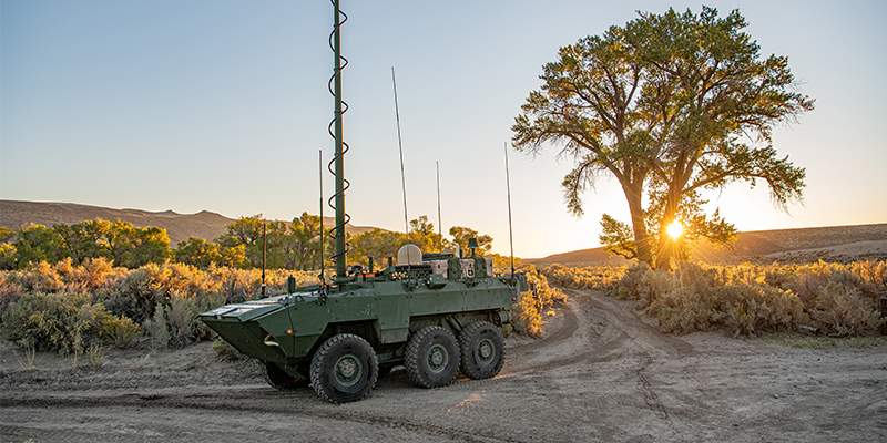 Cottonmouth ARV in the desert