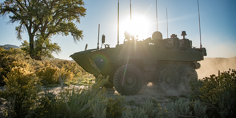 Cottonmouth ARV in the desert